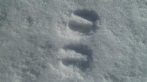 01 Traces 