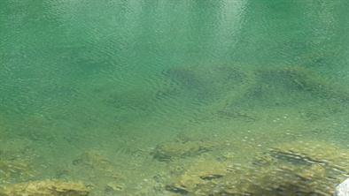 11 transparence de l'eau 